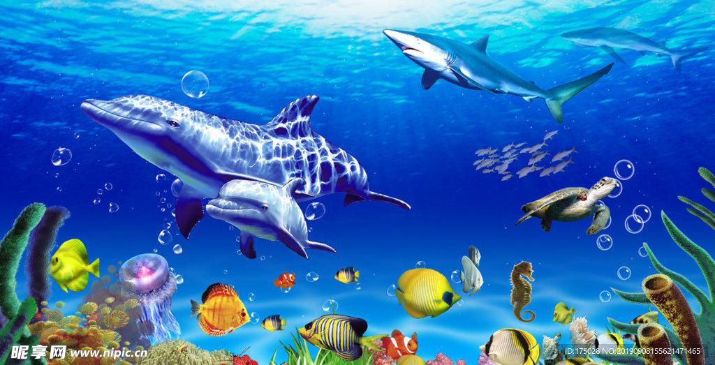 丰富的海洋生物图片