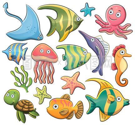 海洋生物鱼
