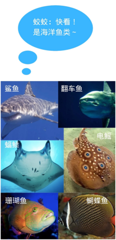 世界海洋日: “蛟蛟”带你探秘神奇的海洋世界